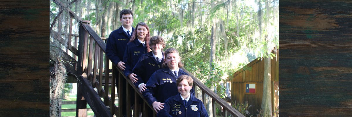 WOHSFFA's profile banner image