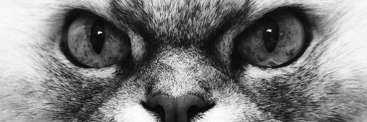 ssanmun's profile banner image