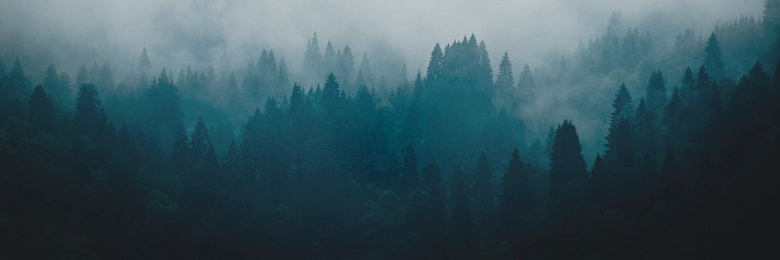 retxrn's profile banner image