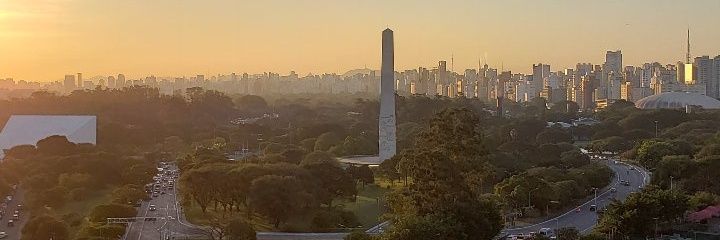 Aline Cardoso banner