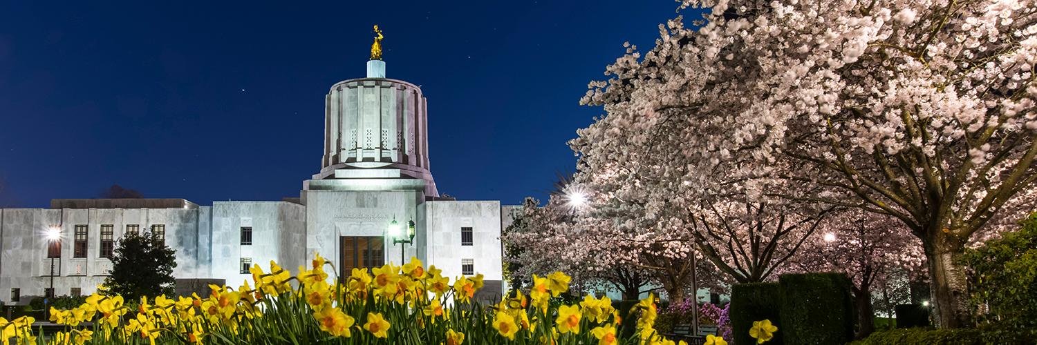 Vote Yes on 90 banner