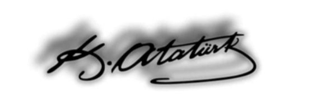 17_November_'s profile banner image