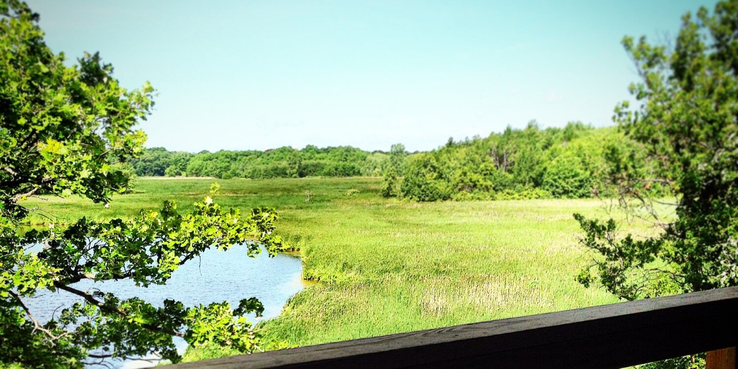 GoSIRC's profile banner image