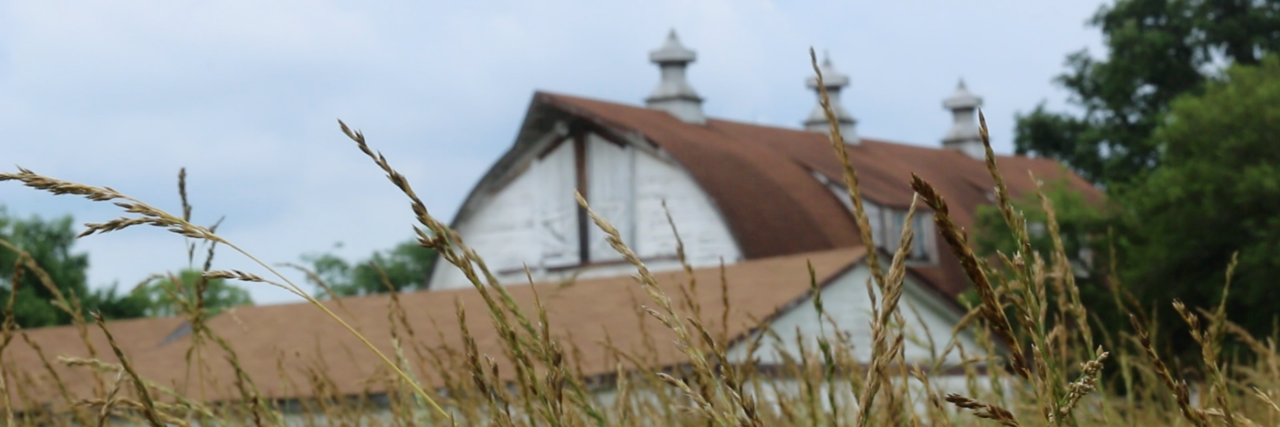FARMtoFORK_INDY's profile banner image