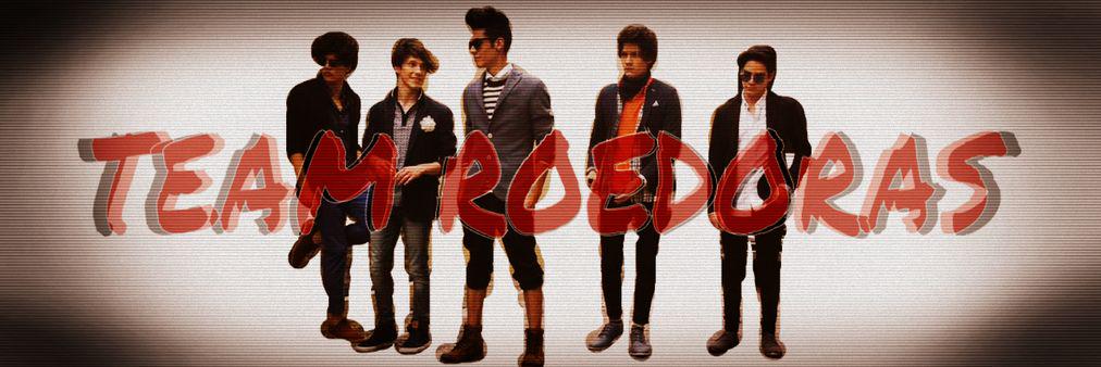 TeamRoedoras's profile banner image