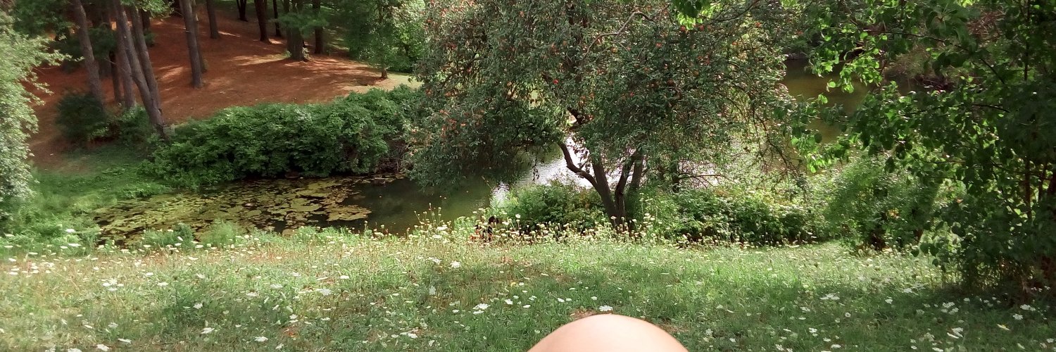 shellvalley2's profile banner image