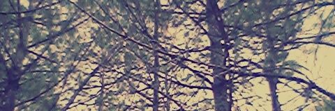 rocio23452's profile banner image