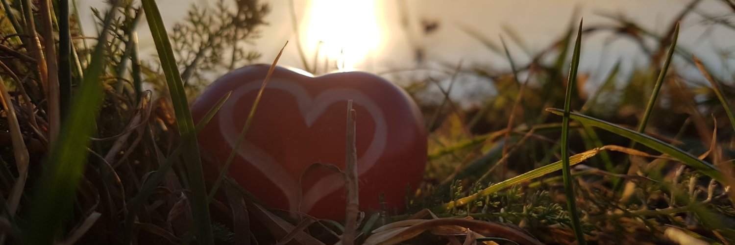 Tarilafari's profile banner image