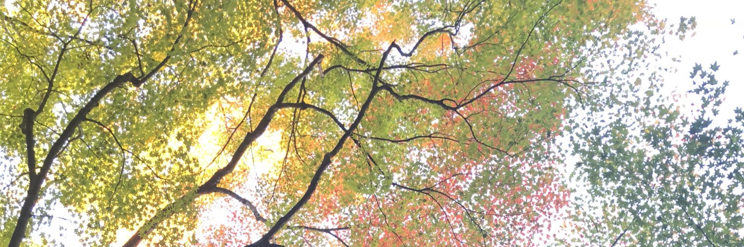 なつ◡̈*.°⑅ banner