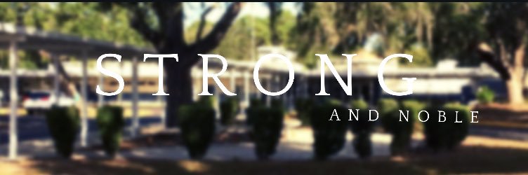 Hudson Elementary banner