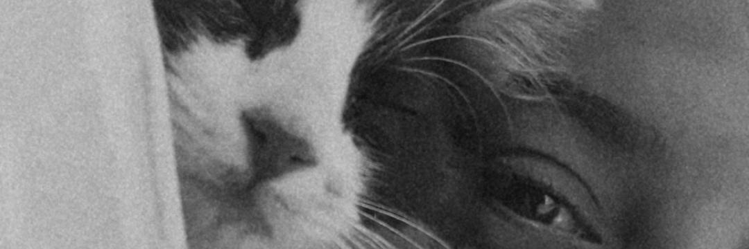 MeeliiRepettiv's profile banner image
