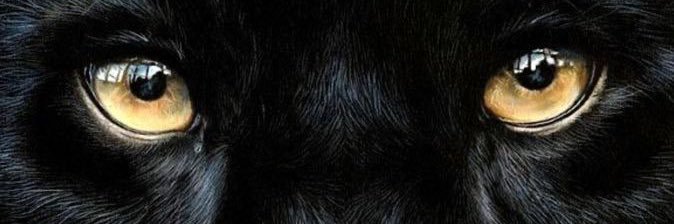 GabrieleeSousa1's profile banner image