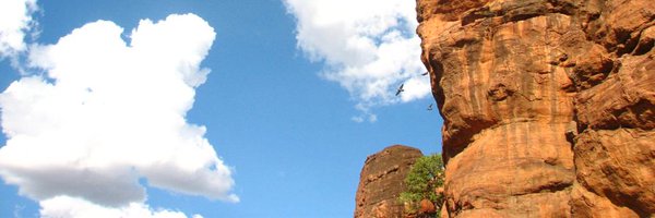 AparnaLajmi Profile Banner