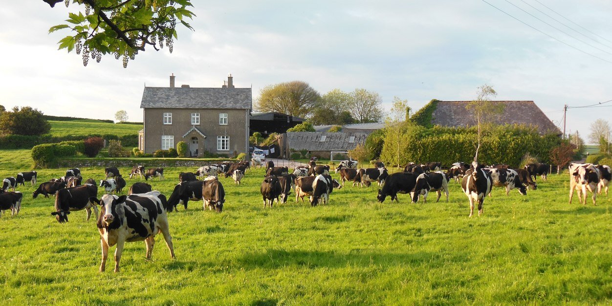 Friends of GCF banner