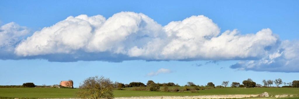 Gemma Verdés banner
