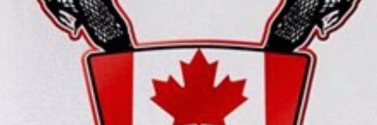 Bobert's profile banner image