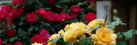 kit38475878's profile banner image