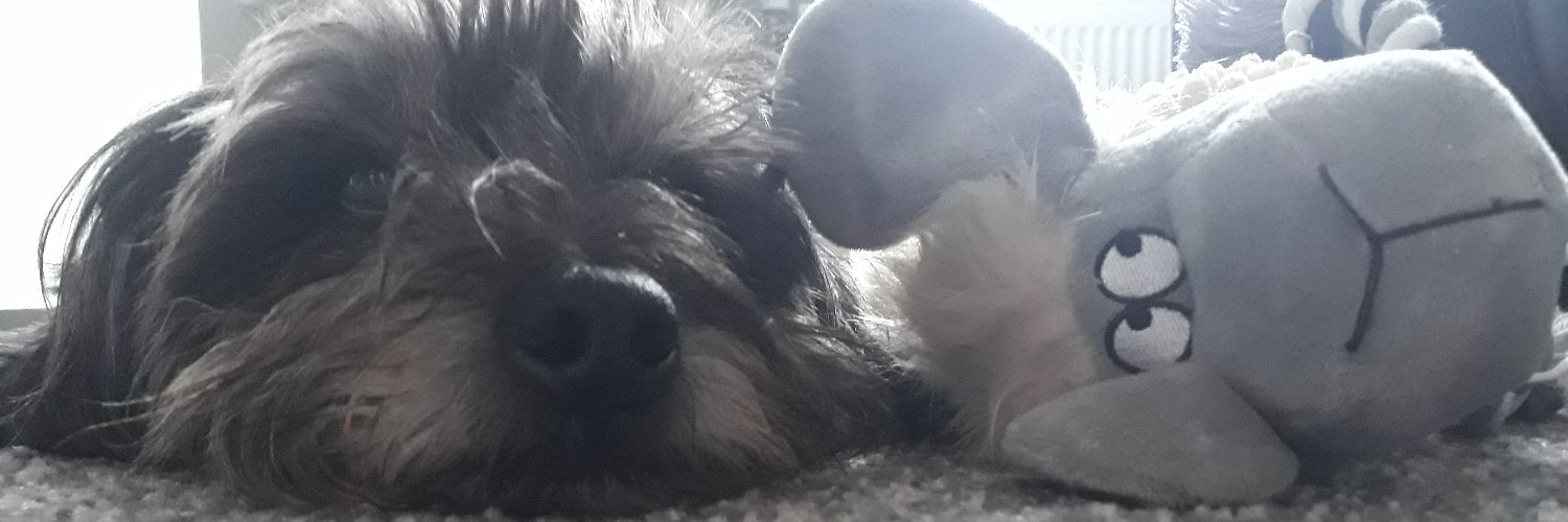sam_bannerman's profile banner image