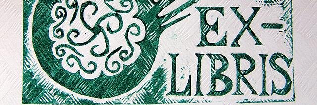 RHSHSlibrary banner
