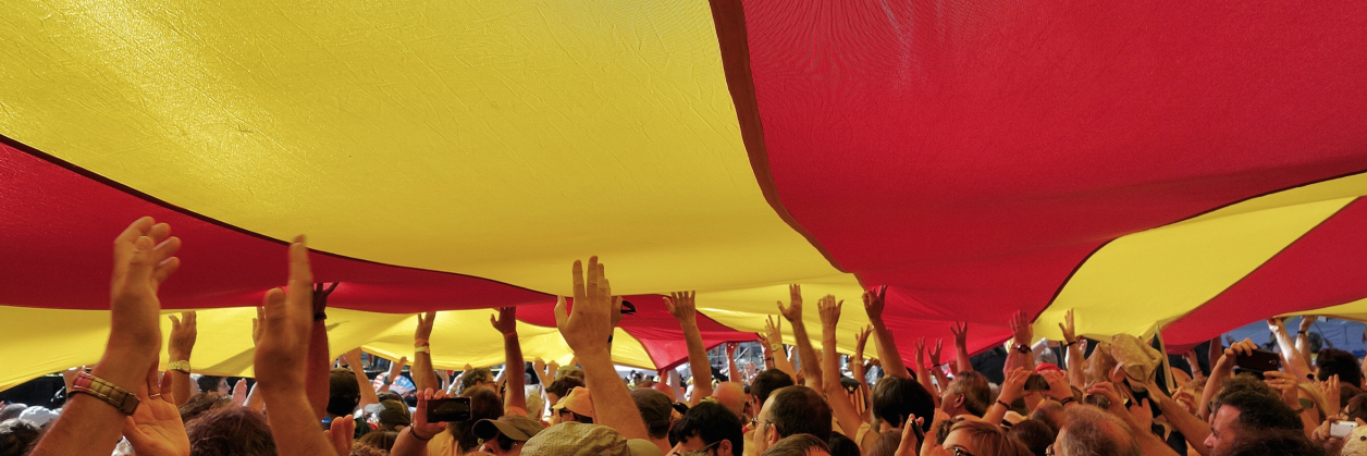 Xavier Bescós banner