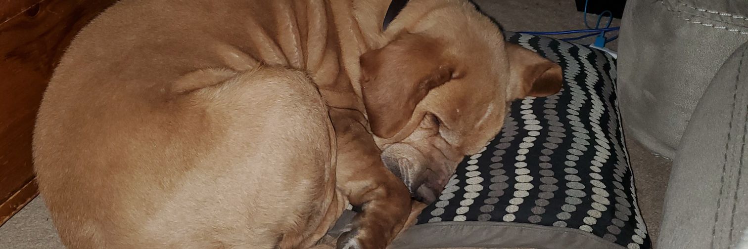 dae146_aftertought banner