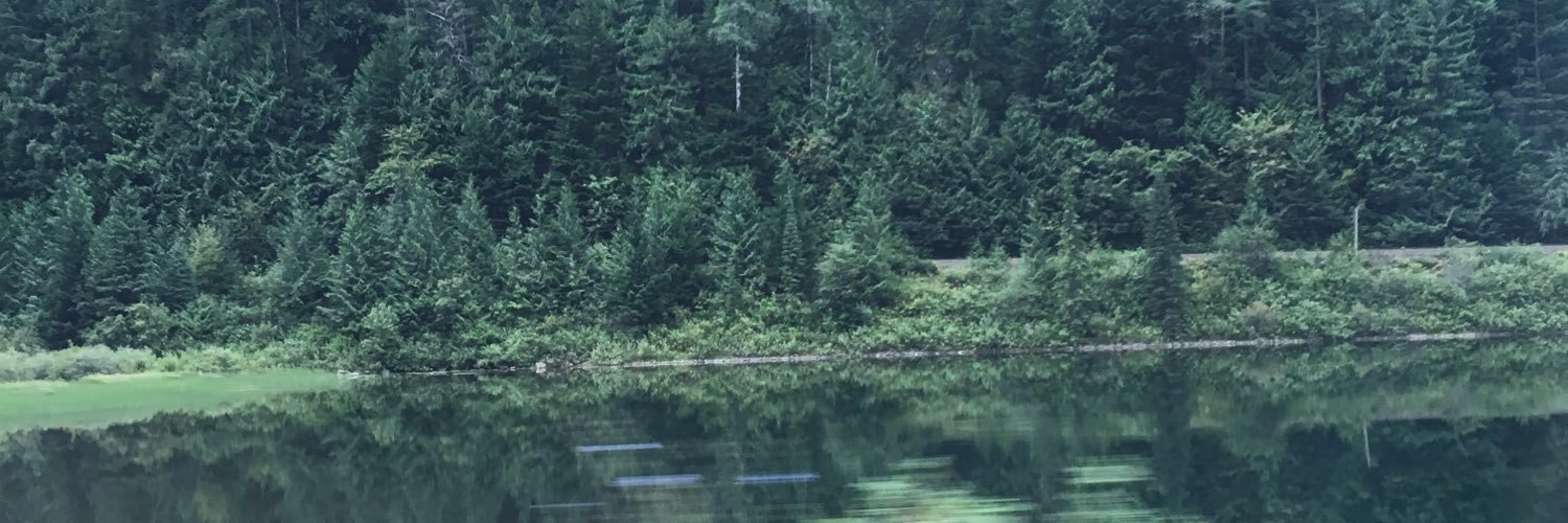 shaebeattie's profile banner image