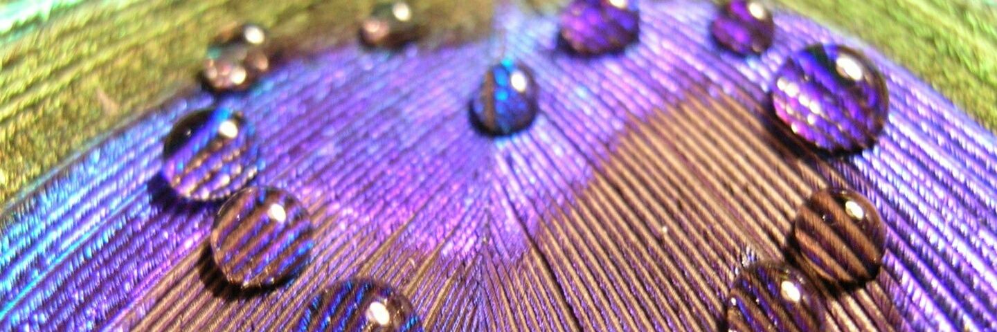 sʀ ʏ sʀa Lօʋɛ♠️♥️ banner