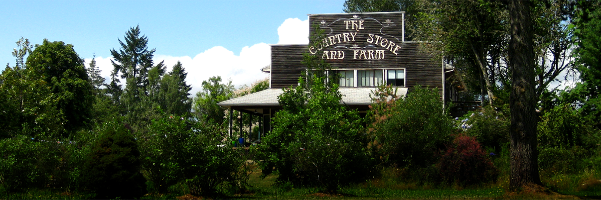 VICountryStore's profile banner image