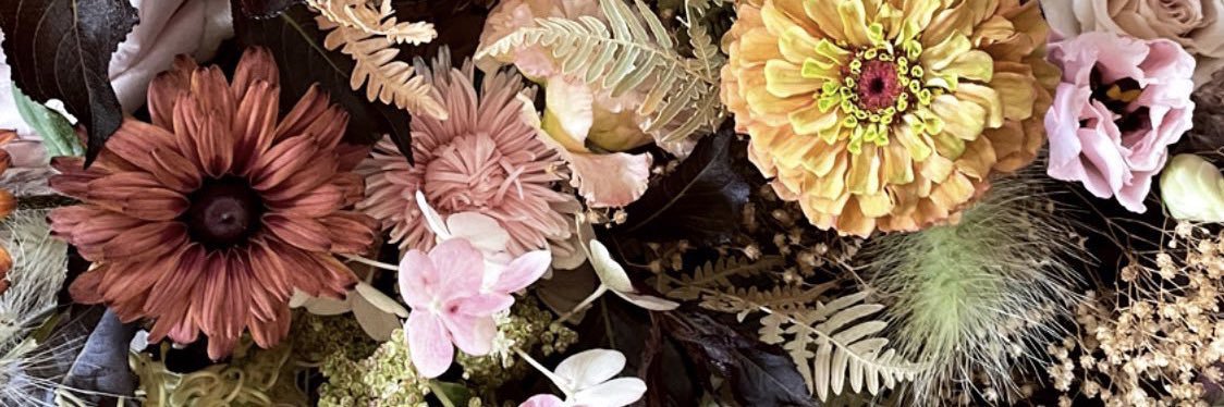 hayleysparrow3's profile banner image