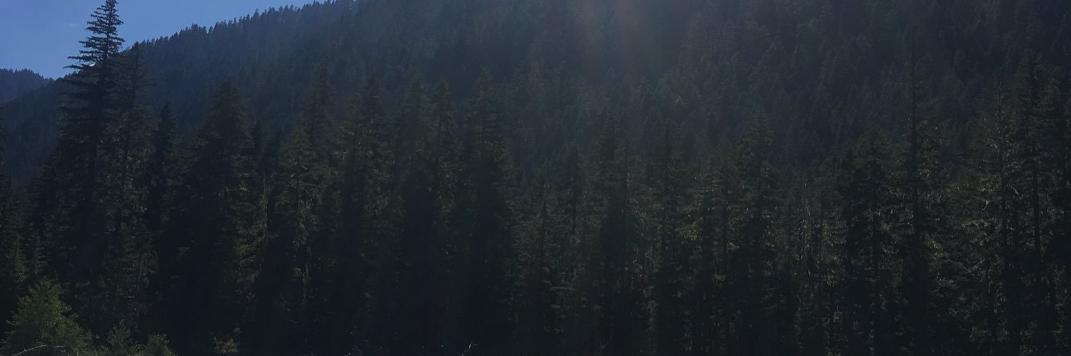 NickMikeAnt66's profile banner image
