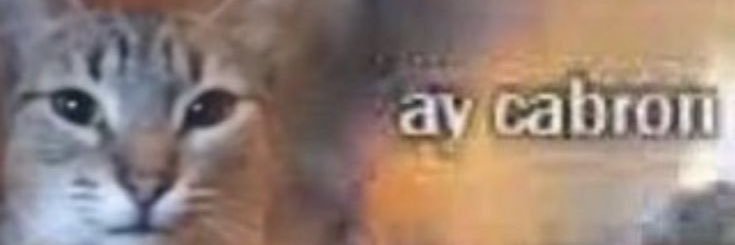 alexmon40's profile banner image