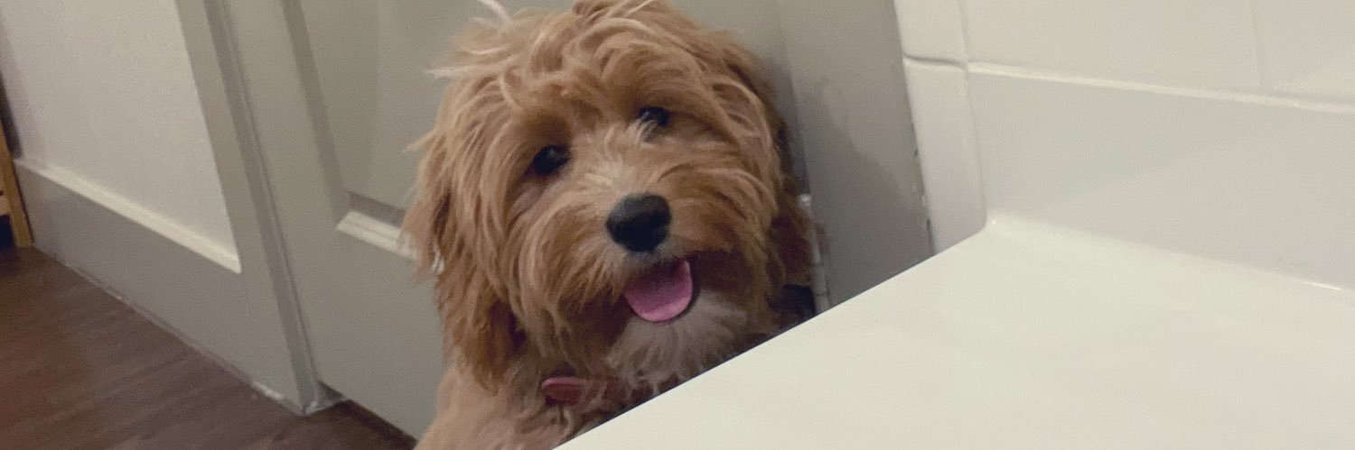 emmaeriley's profile banner image