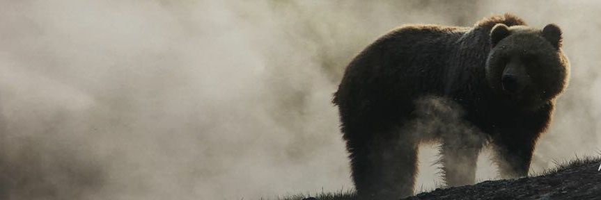panjisept's profile banner image