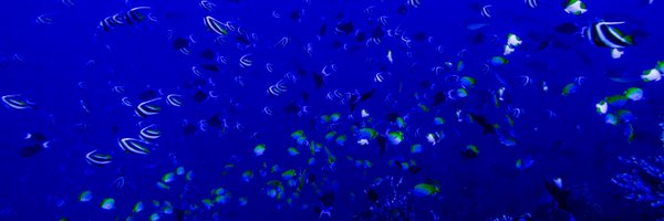 ClydesdaleDH Profile Banner