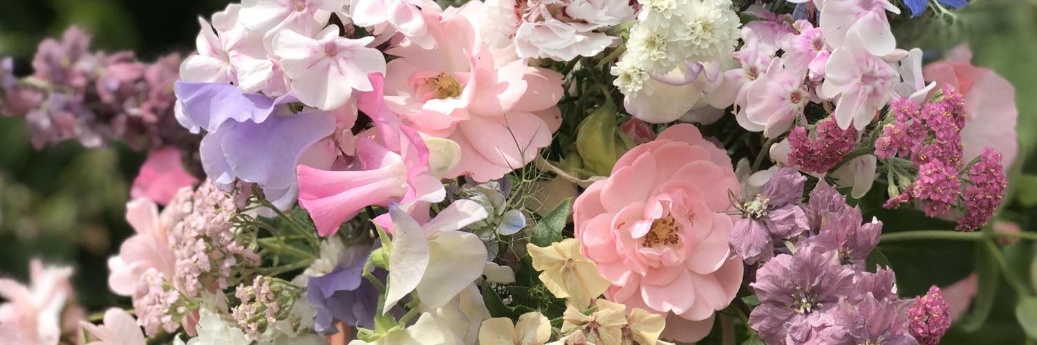 Cathymarchant's profile banner image