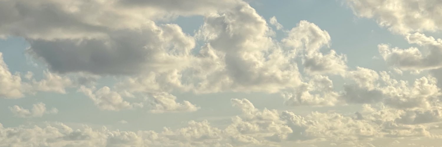 XAlexaMarie's profile banner image