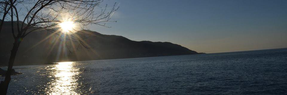 nesrin_askar's profile banner image