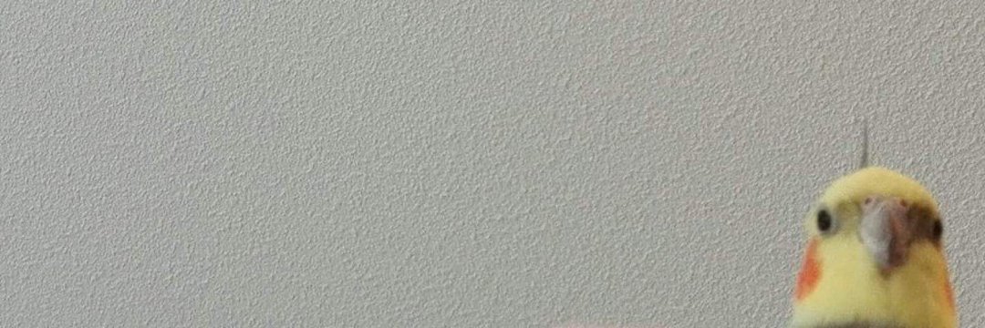 SolAtrasado's profile banner image