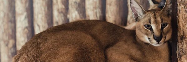 manu204030's profile banner image