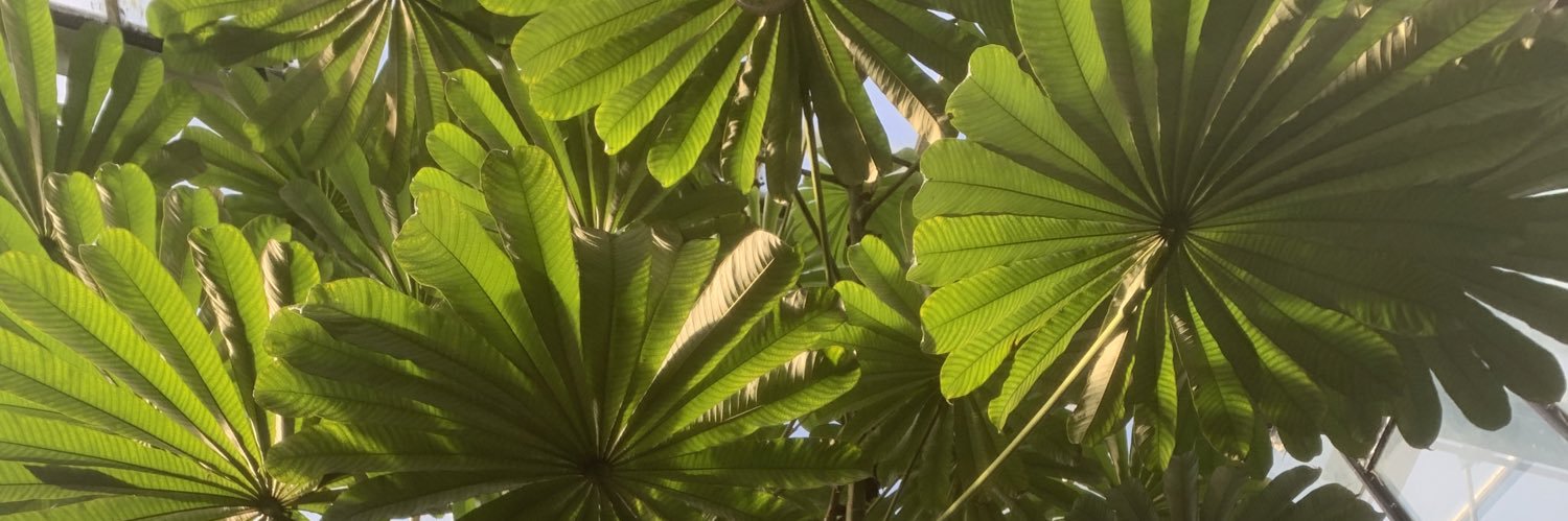 itsnadine_'s profile banner image