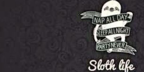 SlothyMatt's profile banner image