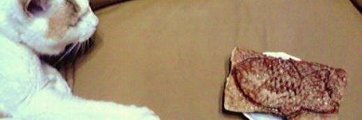 iiittt___'s profile banner image