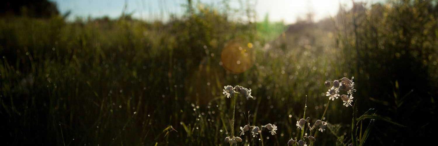 babyshellacruz's profile banner image