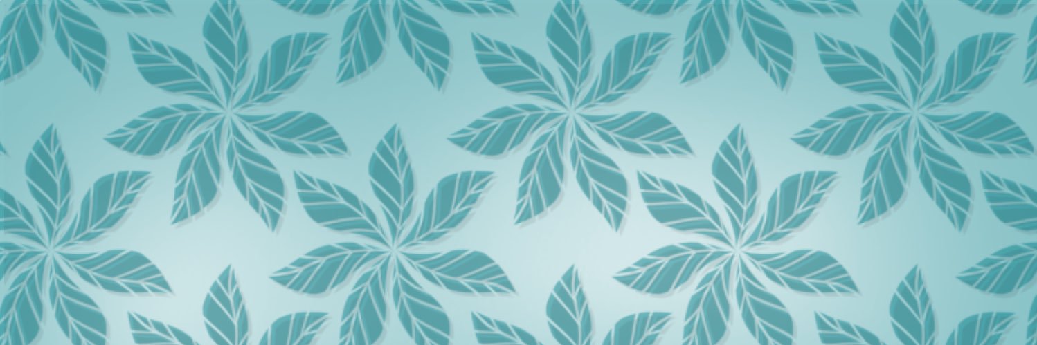 kimi2kimeta's profile banner image
