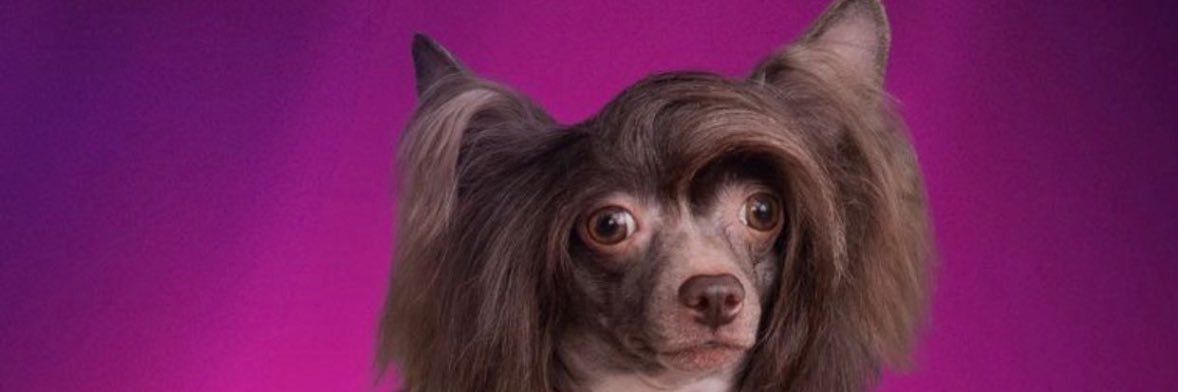 maria de medicis banner