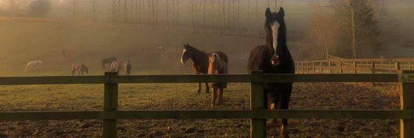 horsetrust Profile Banner