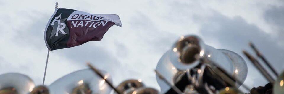 Dragon Nation banner