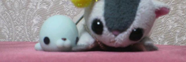 pinkteria's profile banner image