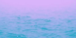 galebrdgdr's profile banner image