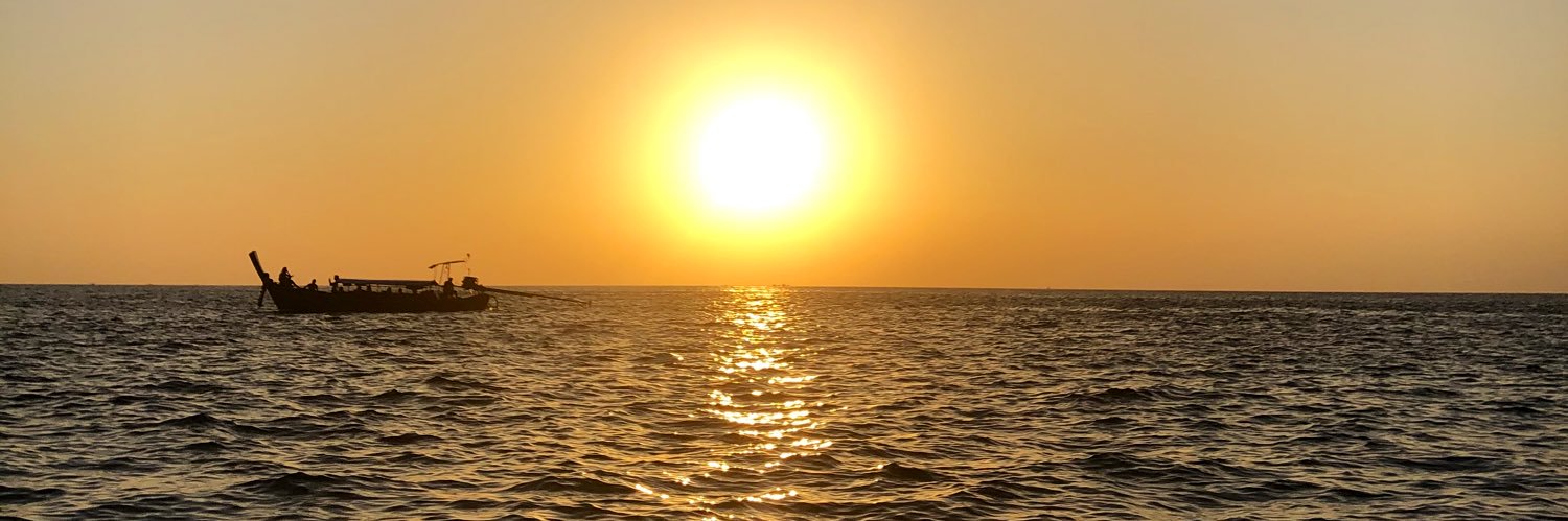 delfinaseoane's profile banner image